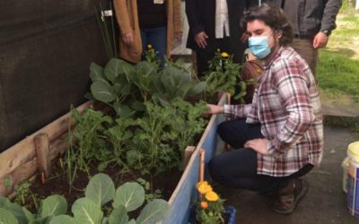 Implementarán proyecto de huertos comunitarios en colegio de Valparaíso para estudiantes con TEA