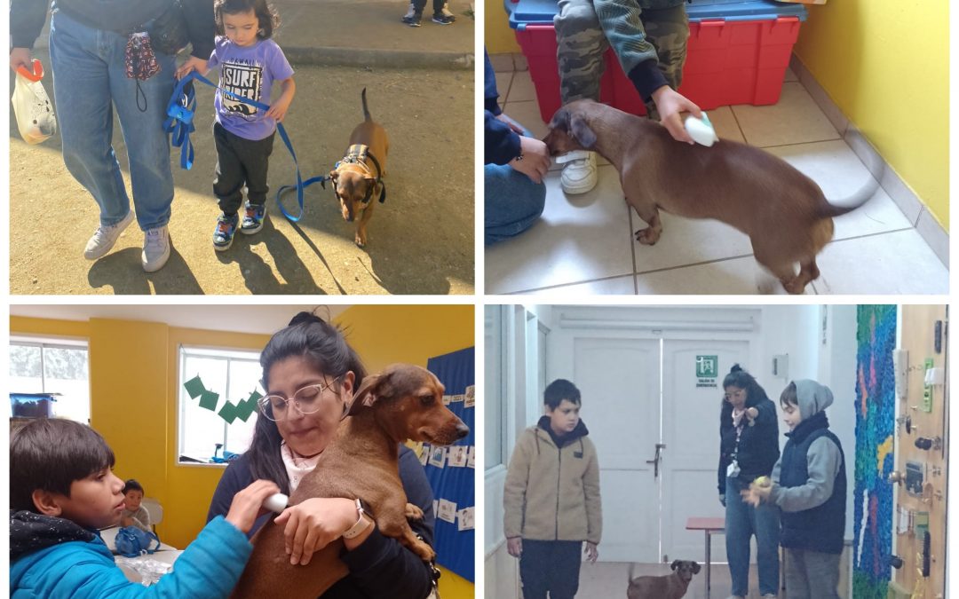 Educación asistida con perros en Altavida