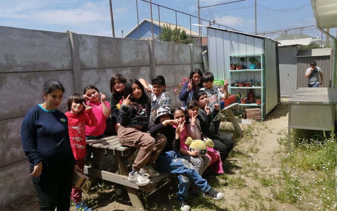 Proyecto Huerto Junto a la UPLA